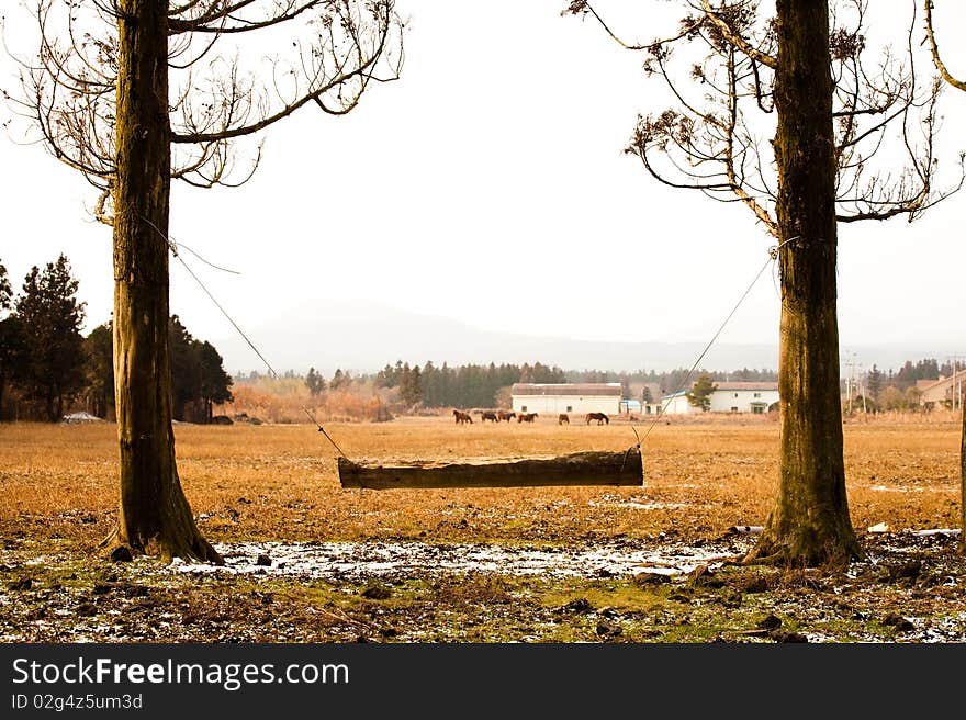 A peaceful resting place pasture