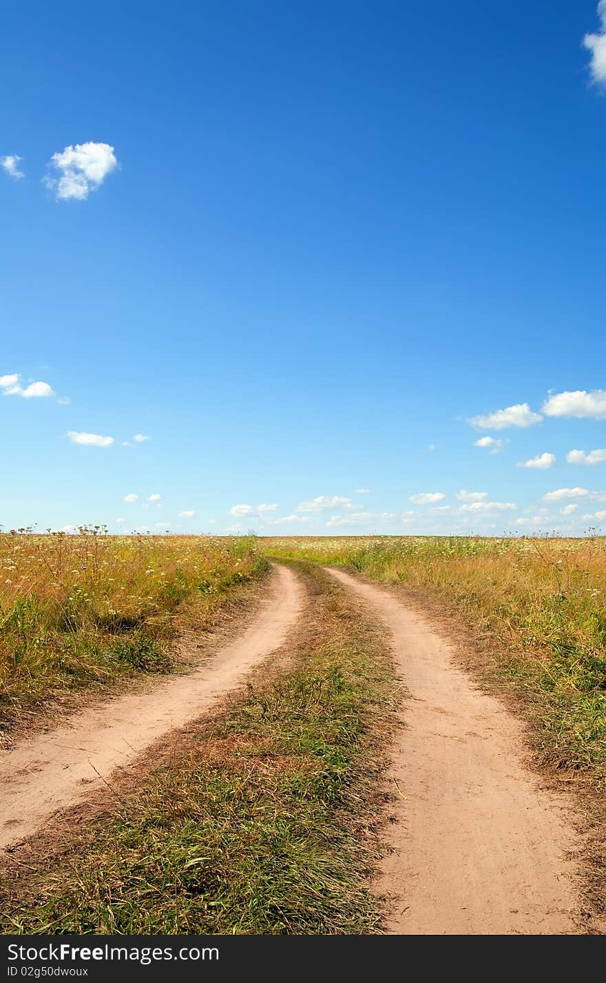 Field of green grass and blue cloudy sky. Field of green grass and blue cloudy sky