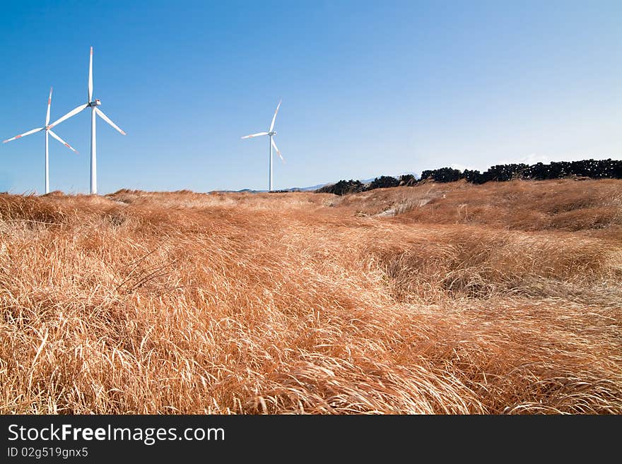 Wind mill, blue sky and grass. Wind mill, blue sky and grass