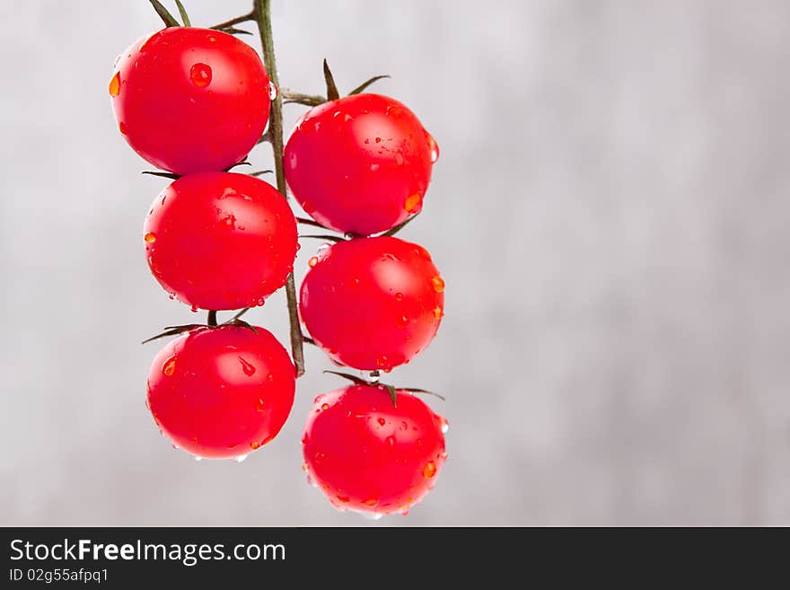 The ripened fruits of a tomato. The ripened fruits of a tomato