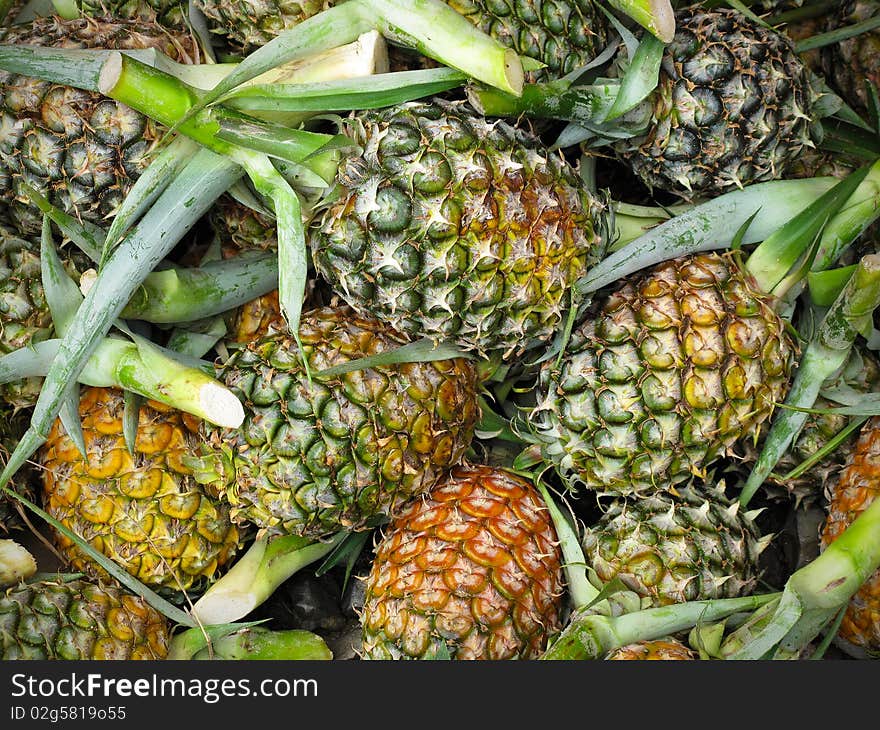 Frsh pineapples, freshly cut from the plant at a market in Borneo. Frsh pineapples, freshly cut from the plant at a market in Borneo.