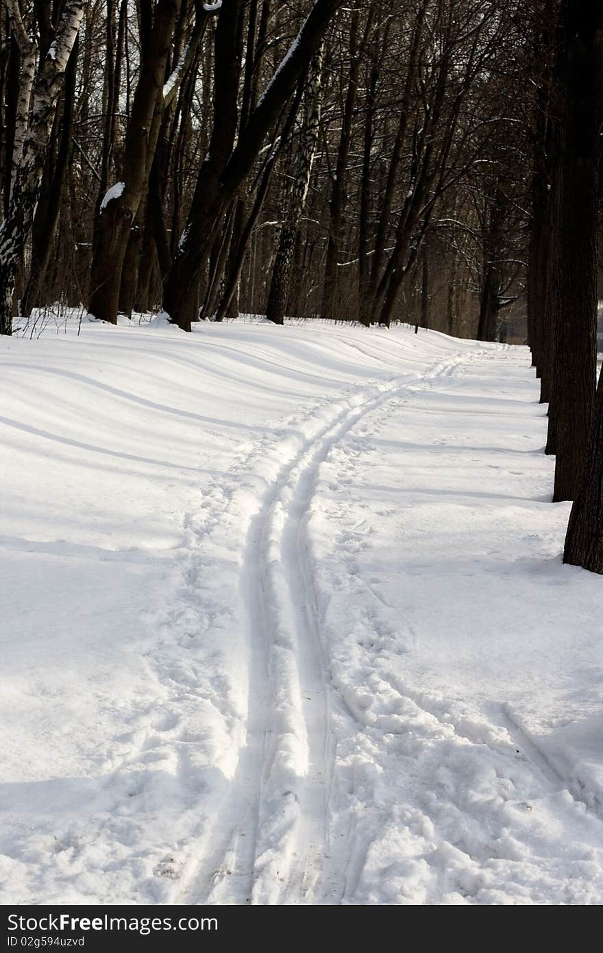 A ski path on snow in a park