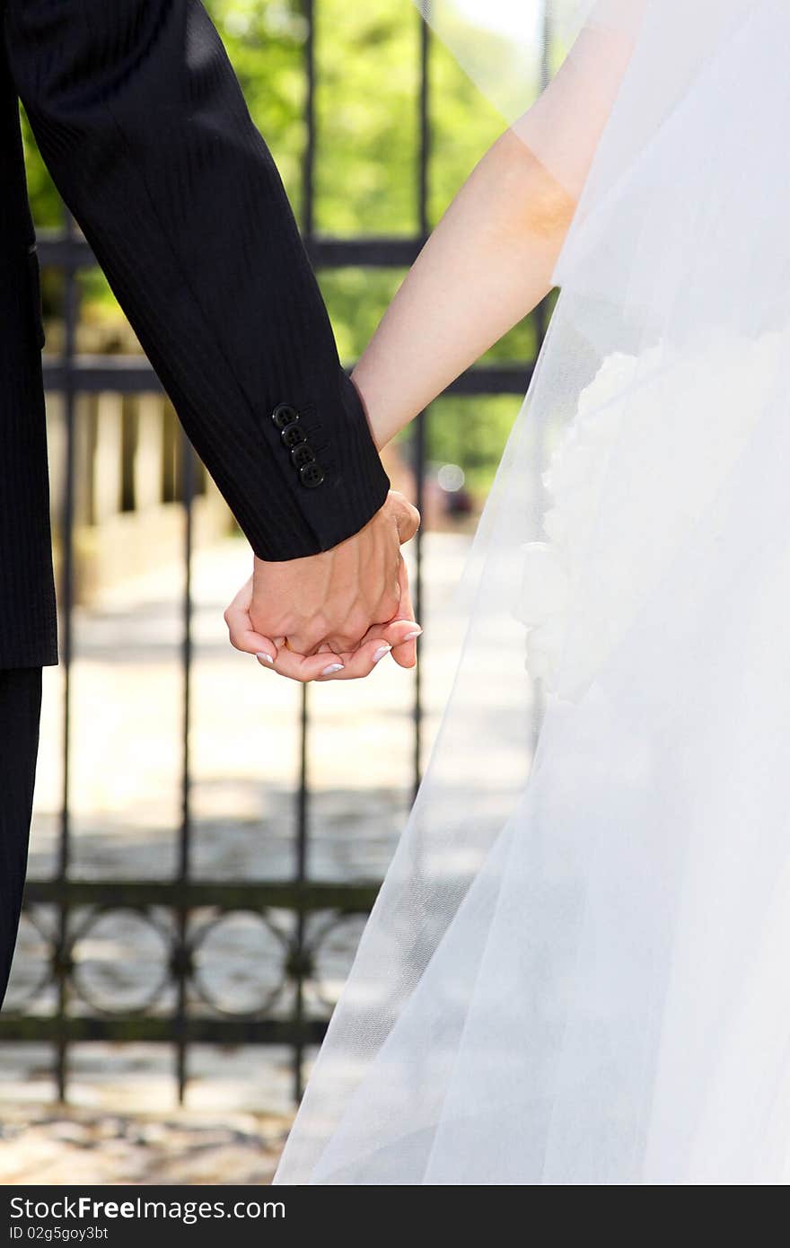 Newlywed couple holding hands and walking. Newlywed couple holding hands and walking.