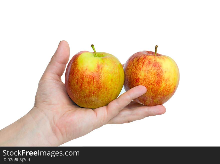 Two apples on palm, isolated on a white background.