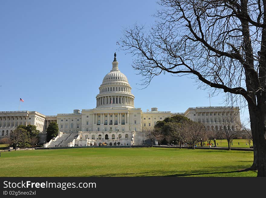 A building of the Capitol and a green lawn before it. A building of the Capitol and a green lawn before it.