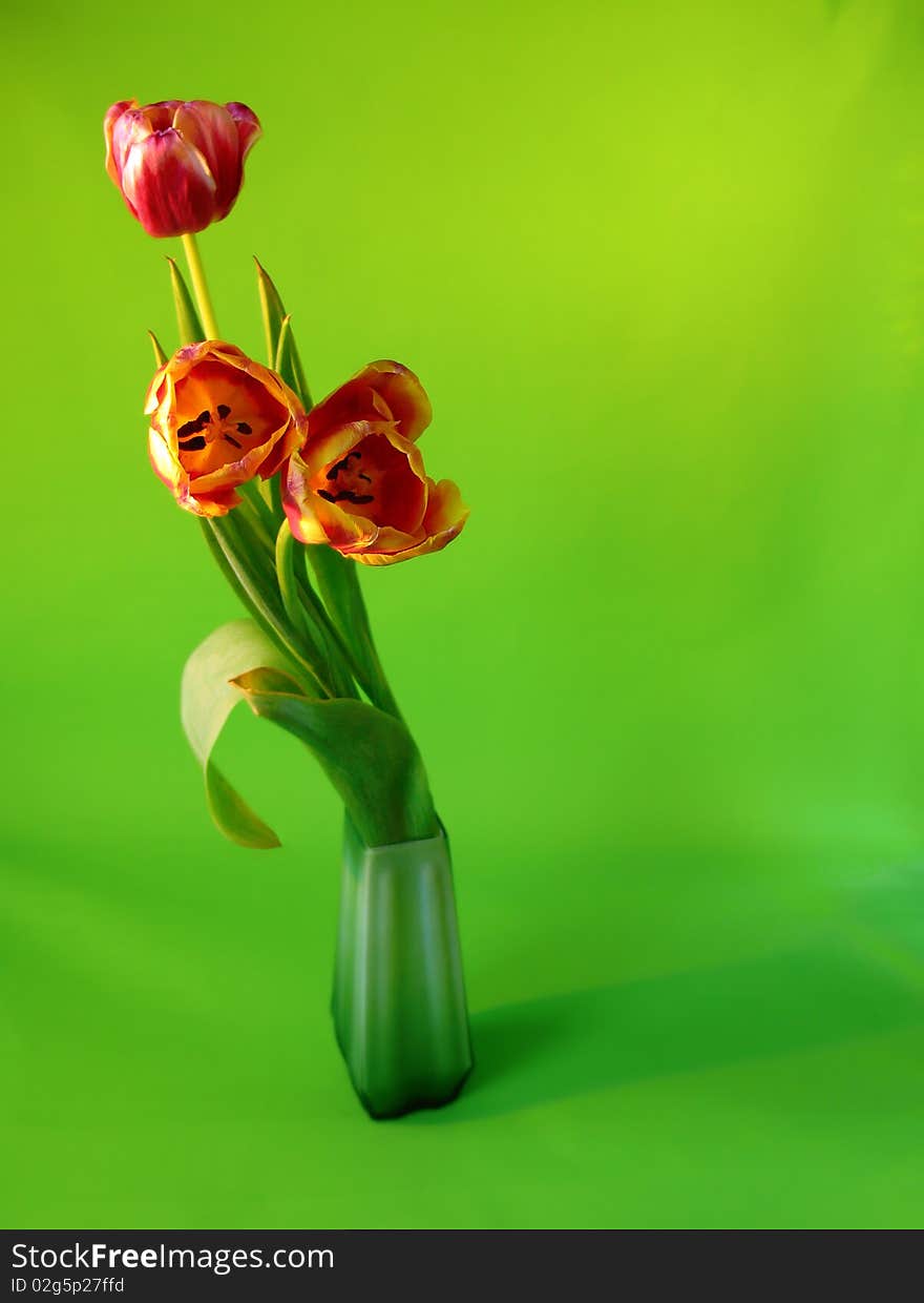 Bouquet of tulips.on green background (macro).