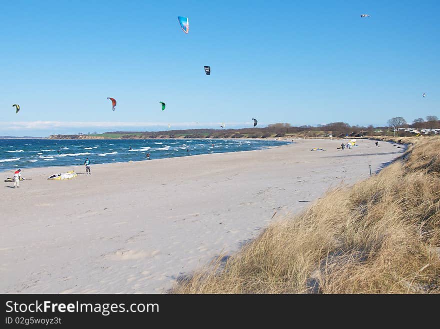 Kite surfers at the beach. Kite surfers at the beach