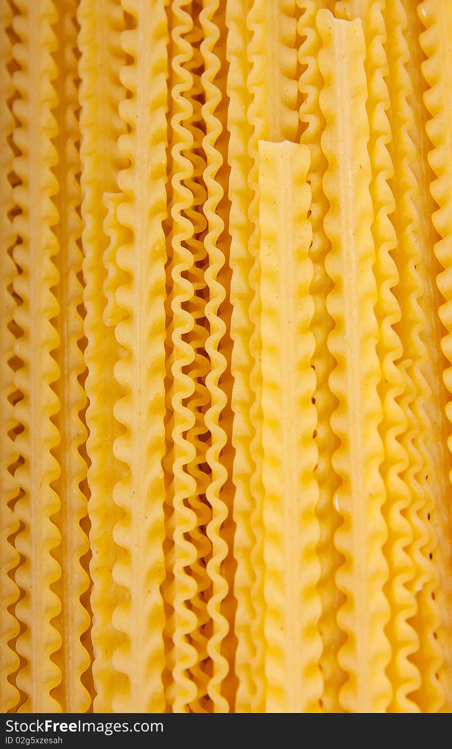 Close up of  spaghetti