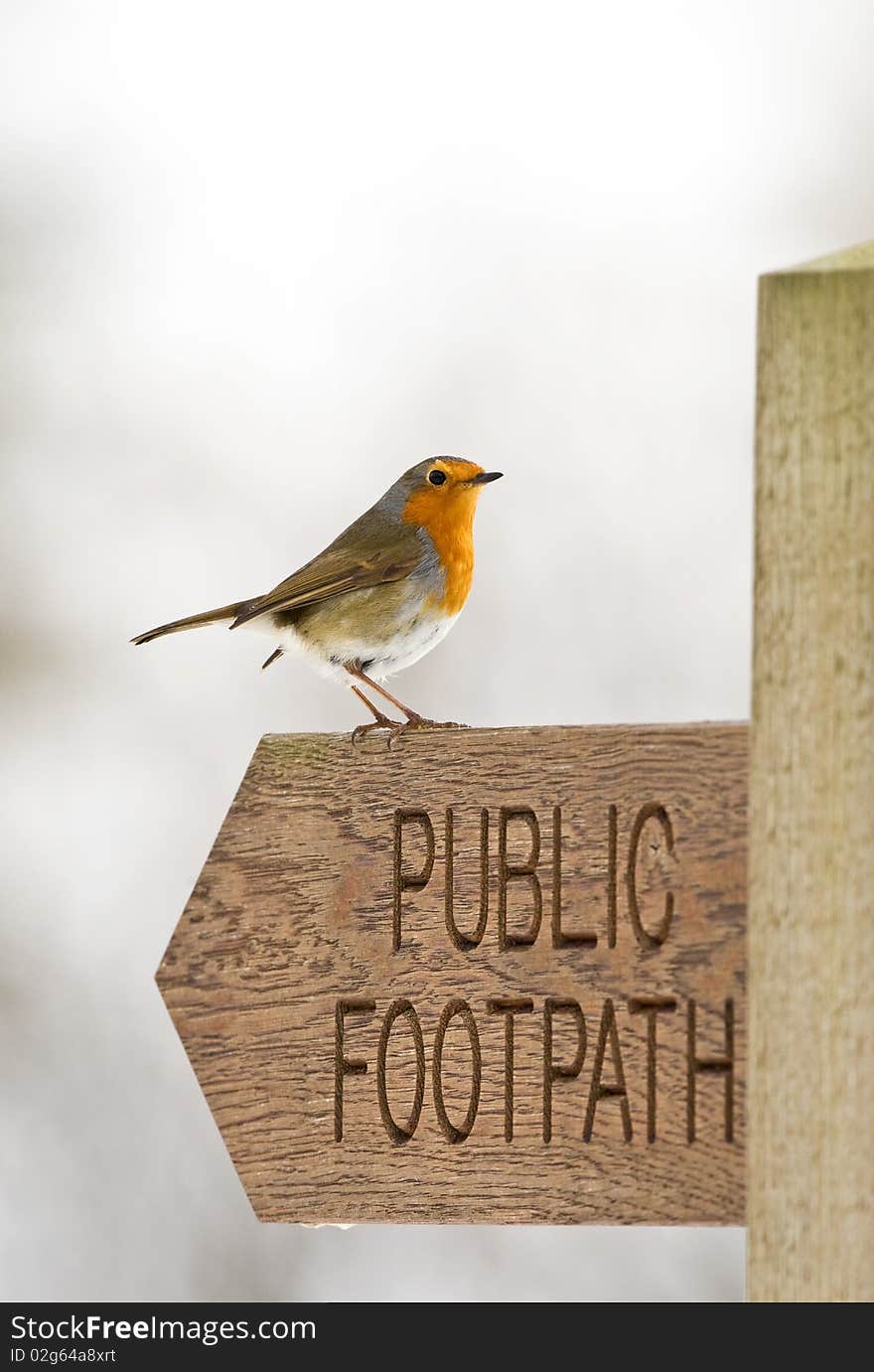 Robin On Signpost