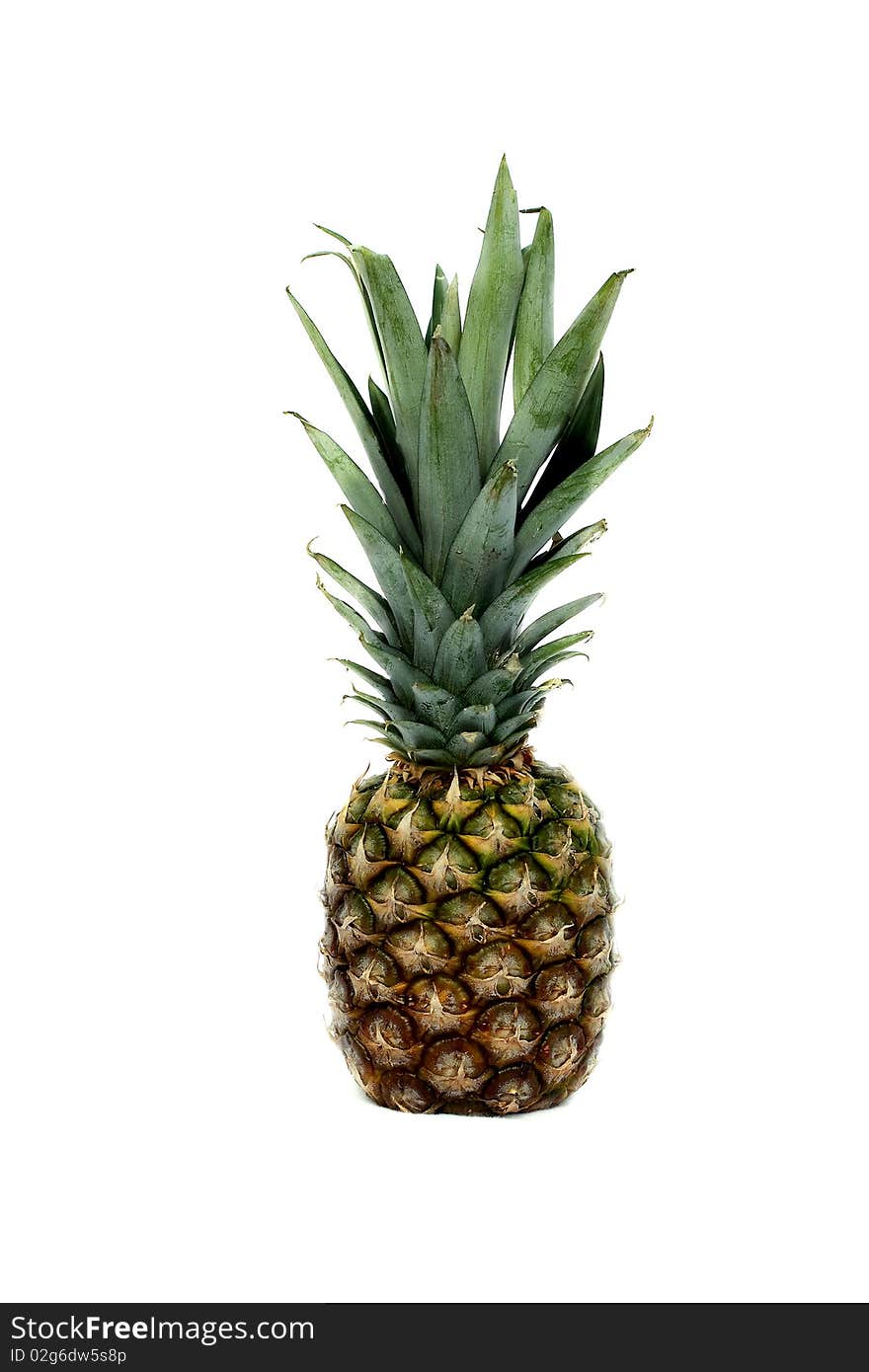 Pineapple