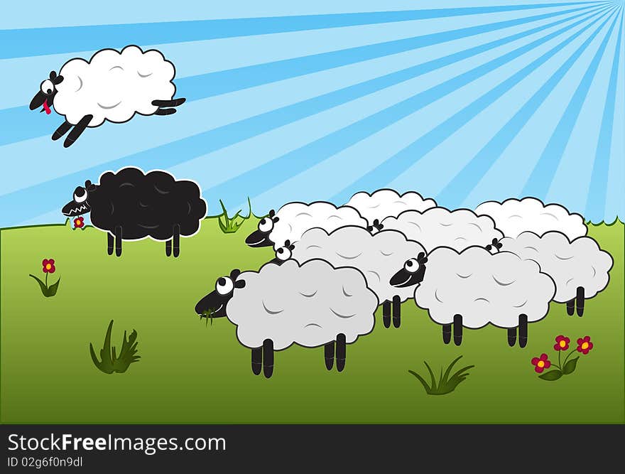 White sheep jumping over a black sheep. White sheep jumping over a black sheep