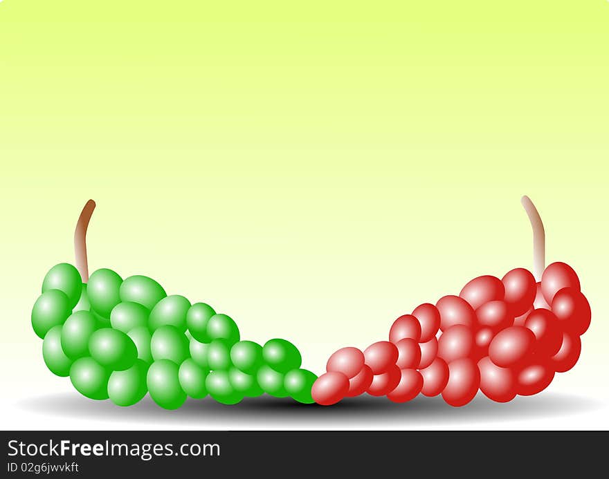 Vector illustration background of grapes clusters