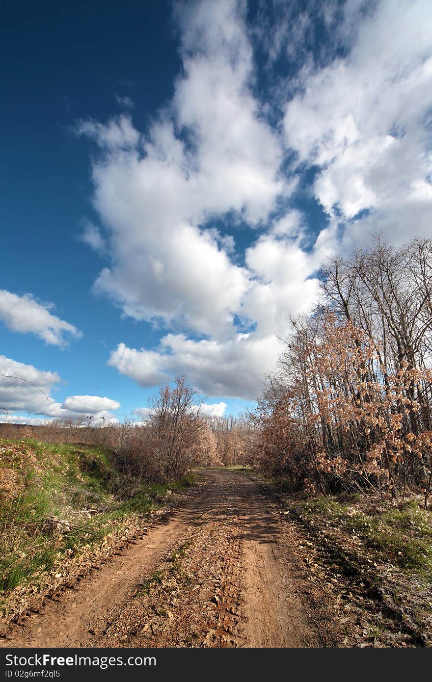 Rural path in the spring