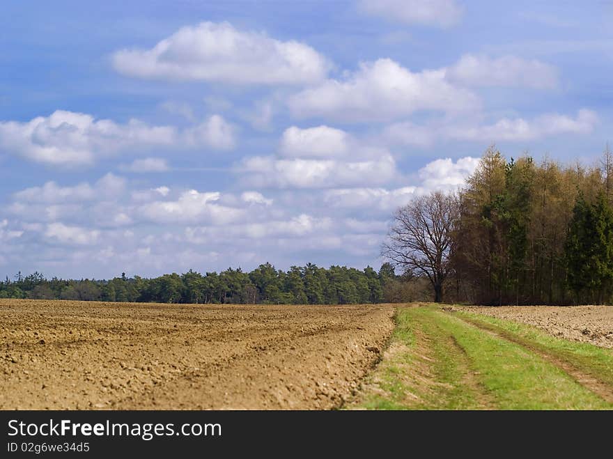 A Bavarian Landscape in spring. A Bavarian Landscape in spring