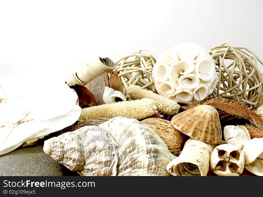 A fragrant selection of different dried plant parts, leaves and  flower as well as mollusk shells. A fragrant selection of different dried plant parts, leaves and  flower as well as mollusk shells