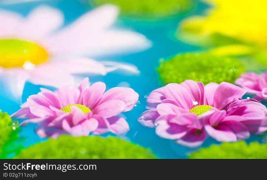 Flowers in blue water