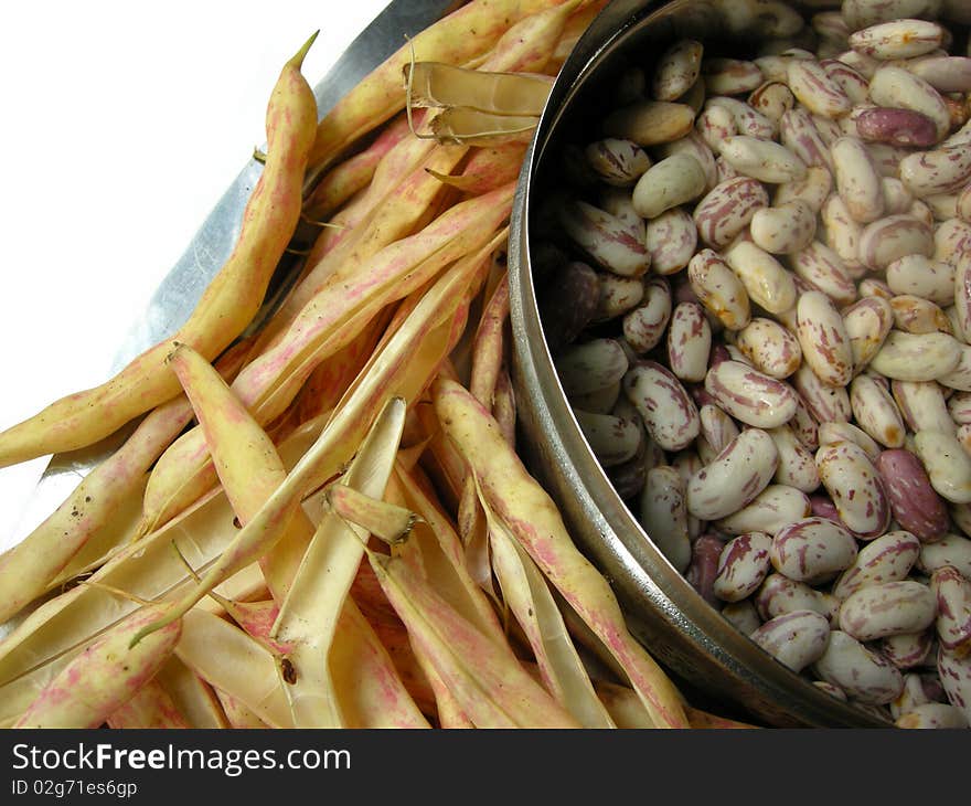 Close up of spotted white kidney beans with the pea pods. Close up of spotted white kidney beans with the pea pods.