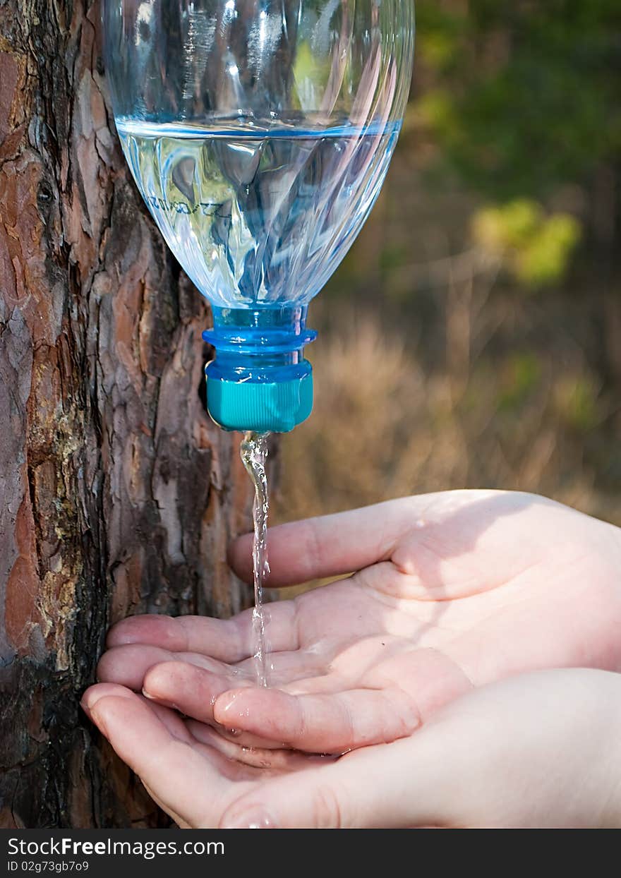 Washstand clinging to tree for personal hygiene on nature