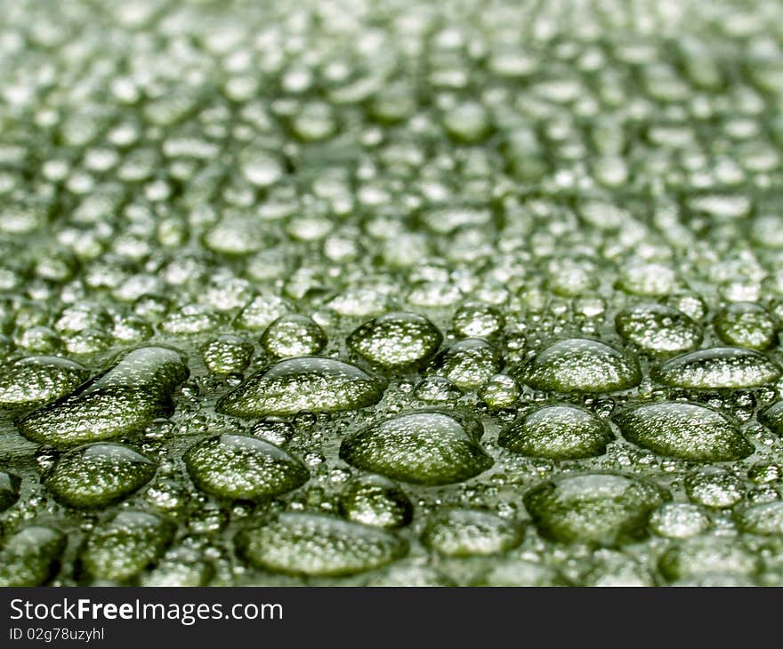 Water drops on green leaf closeup background. Water drops on green leaf closeup background.