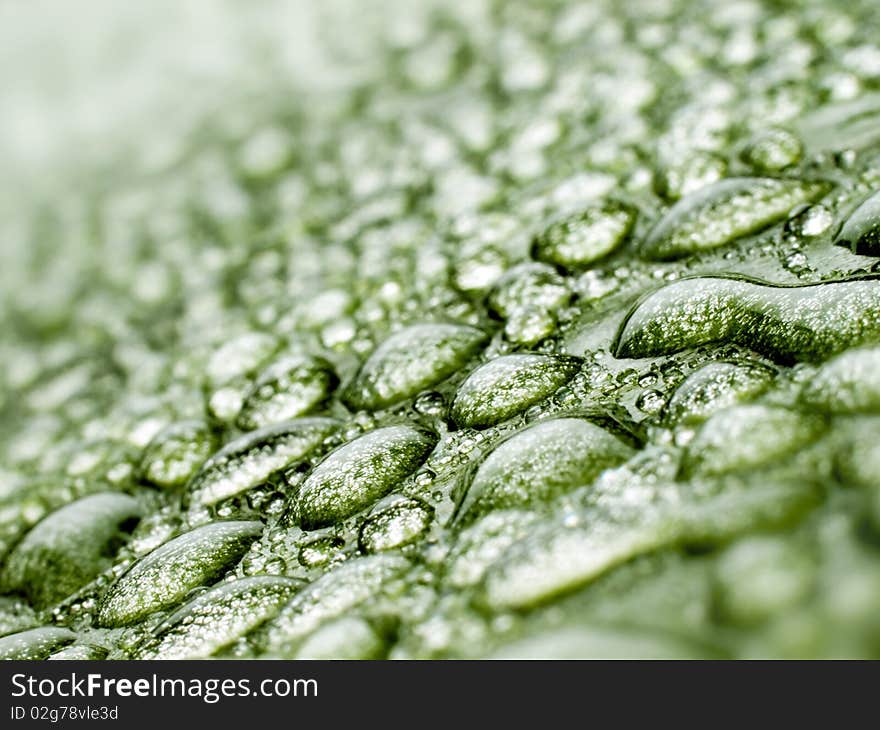 Water drops on green leaf closeup background. Water drops on green leaf closeup background.