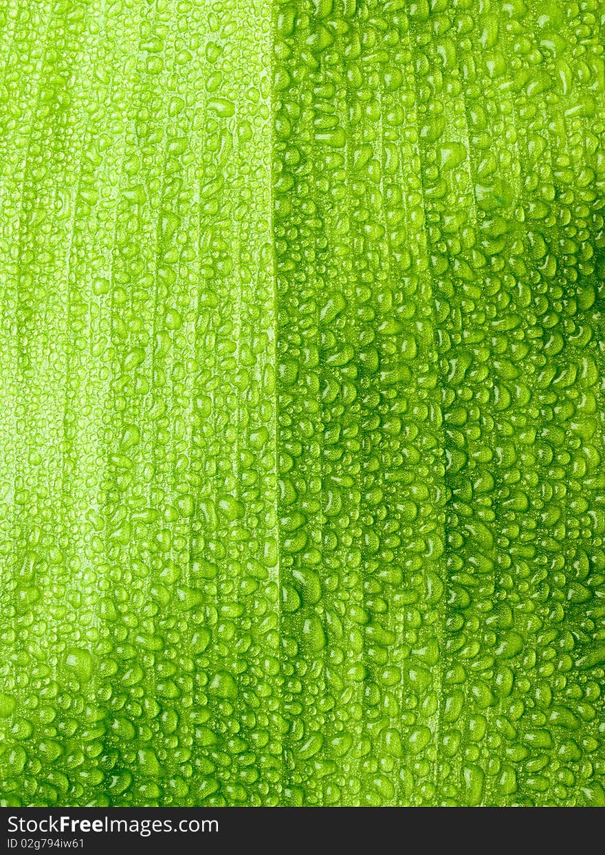 Water drops on green leaf closeup background. Water drops on green leaf closeup background.