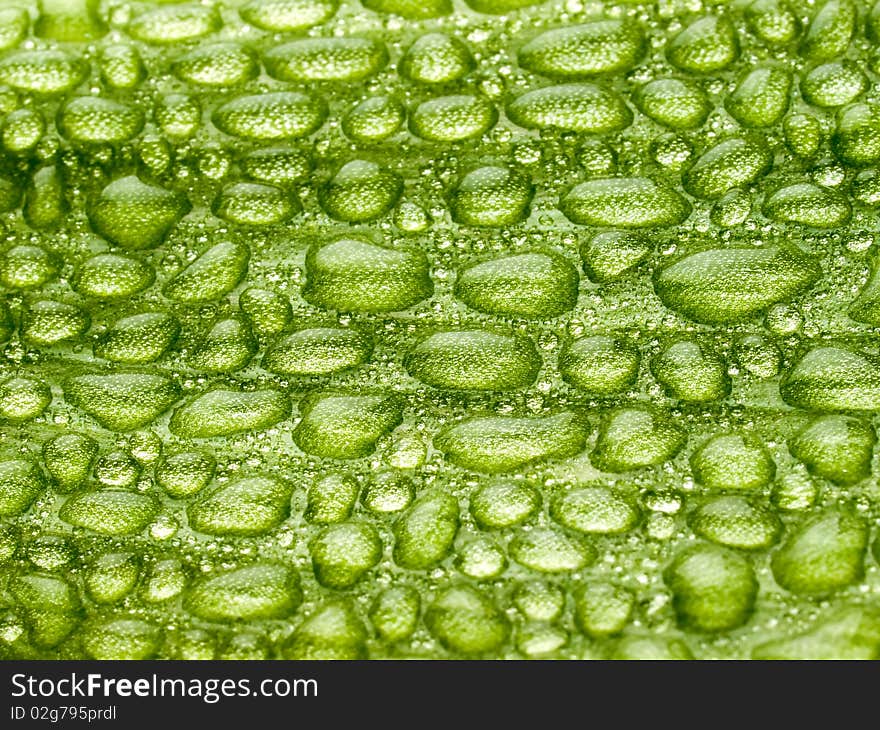 Water drops on green leaf closeup background. Water drops on green leaf closeup background.