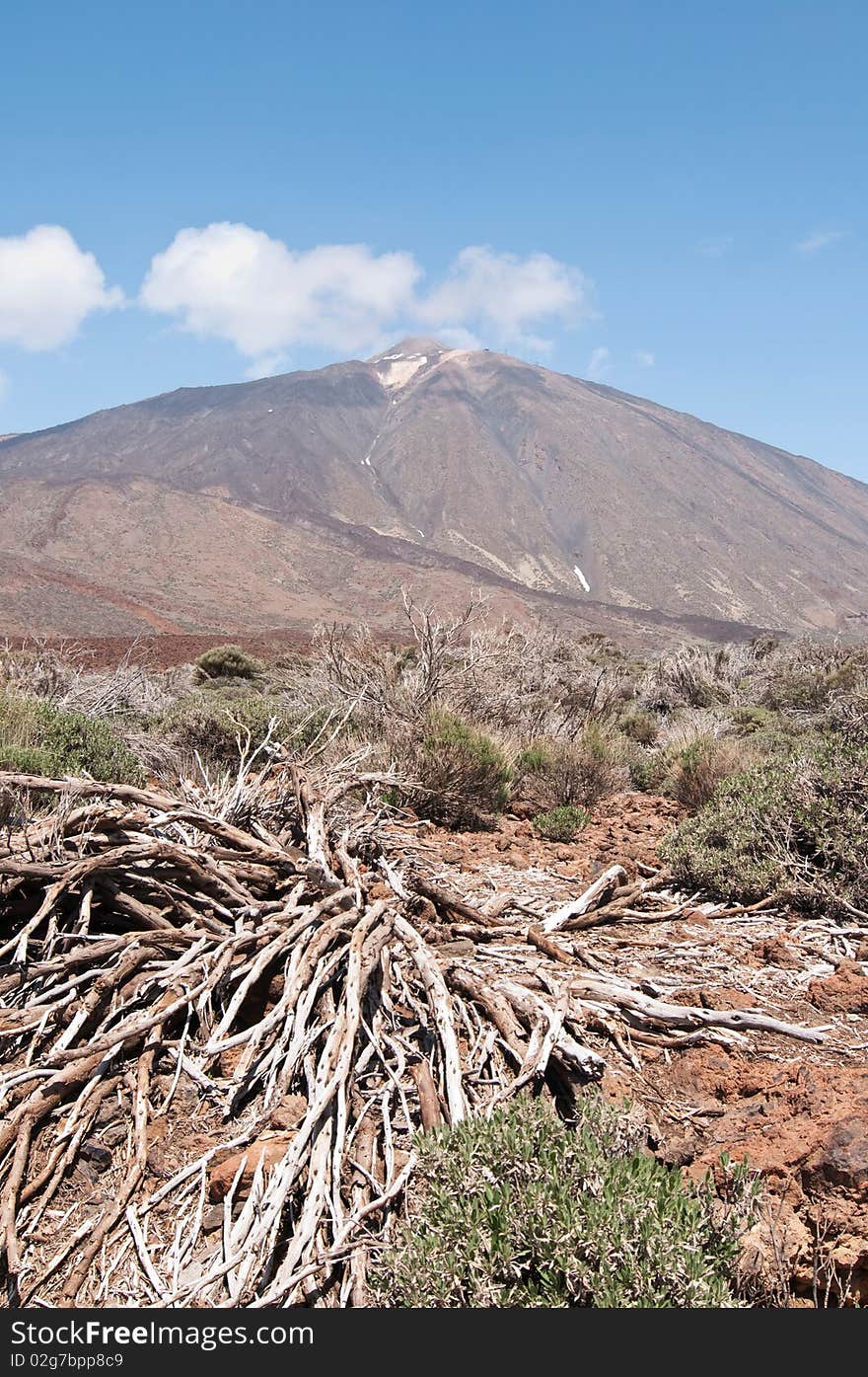 Volcanic landscape - Mount Teide, Tenerife