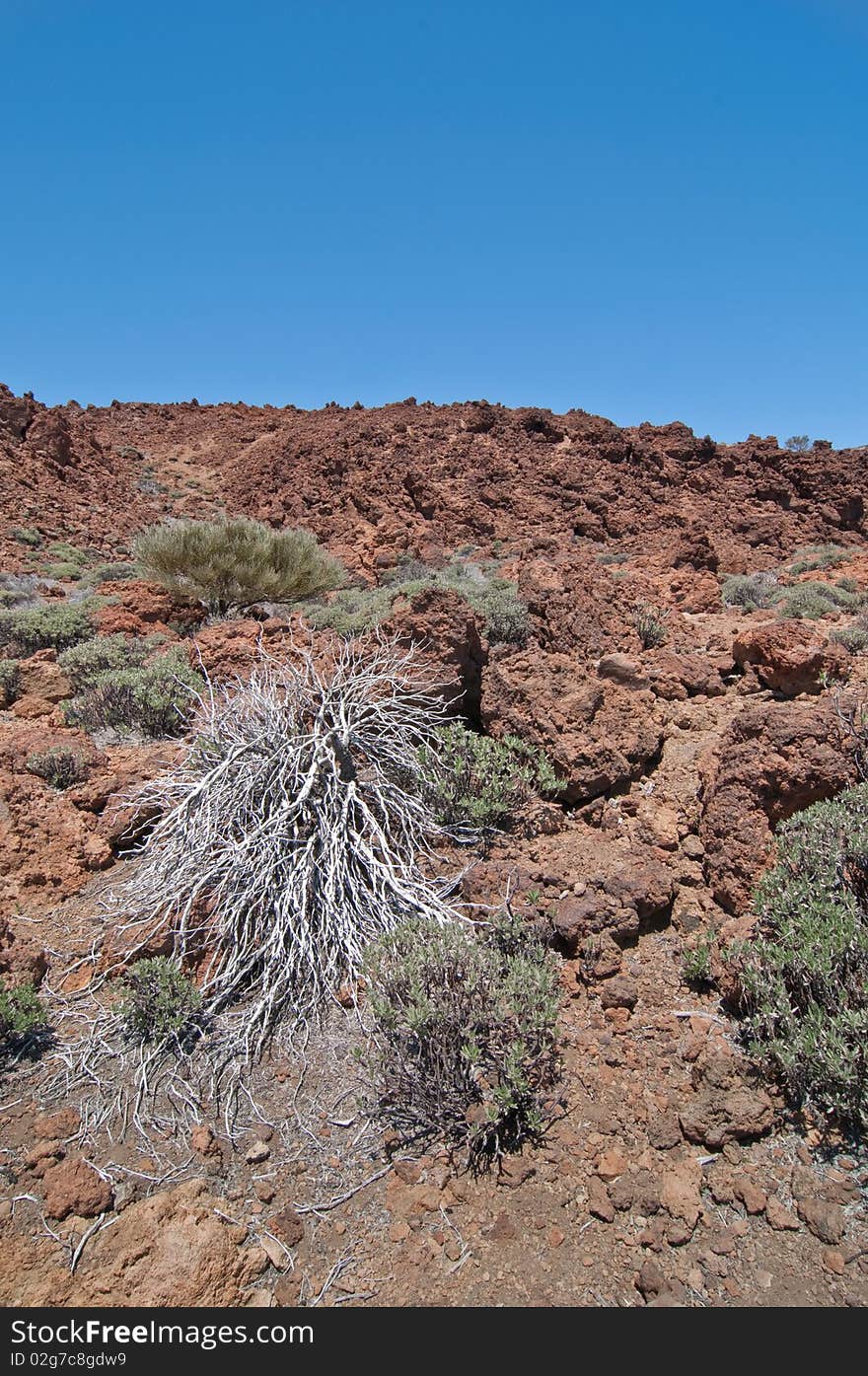 Volcanic landscape - Mount Teide, Tenerife