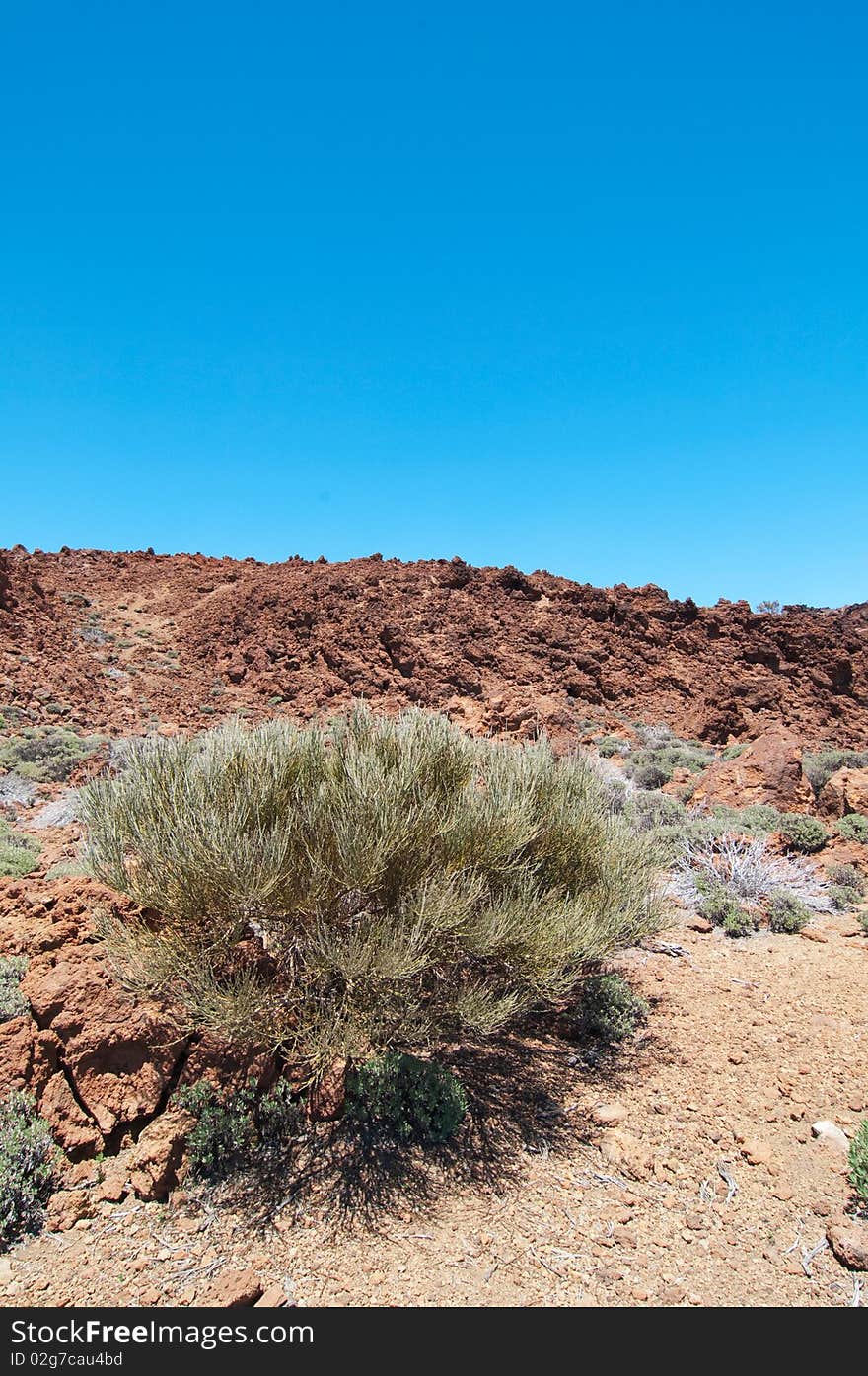 Volcanic landscape - Mount Teide, Tenerife