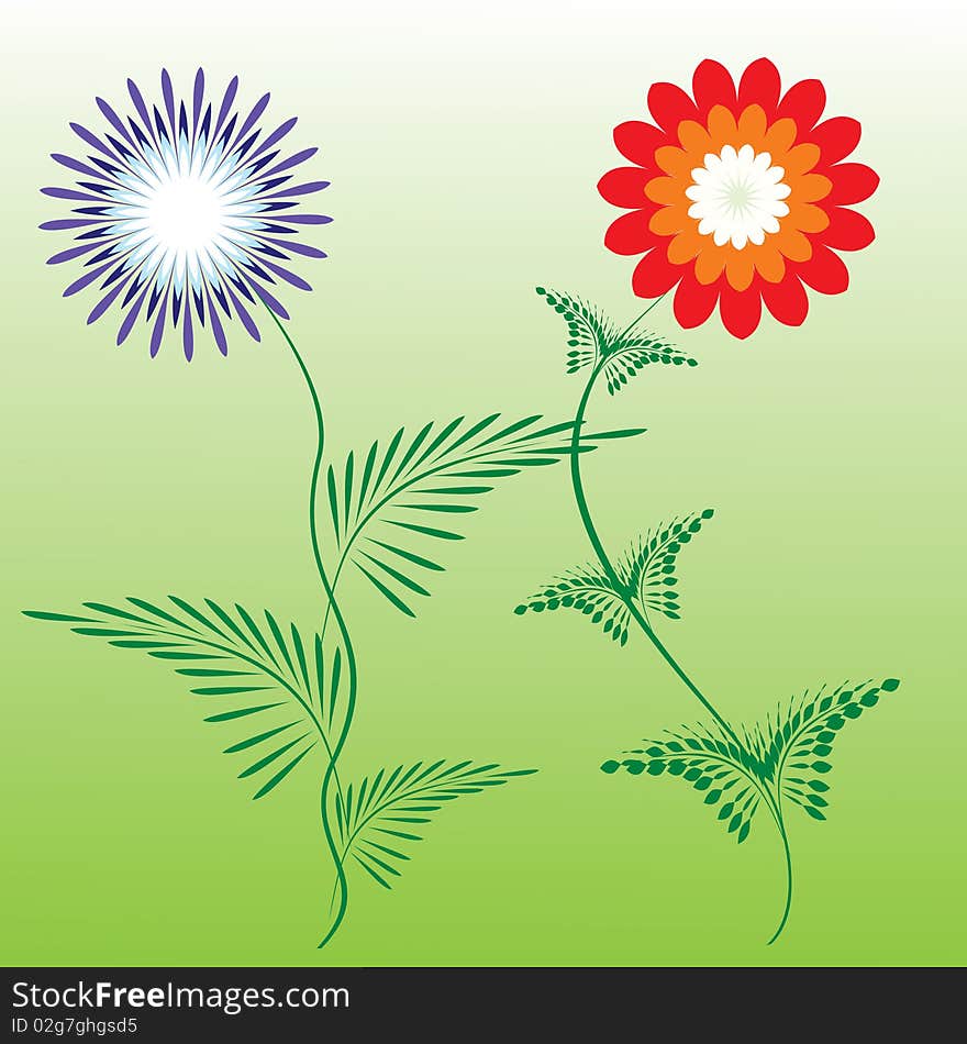 Color vector image of two different flowers. Color vector image of two different flowers