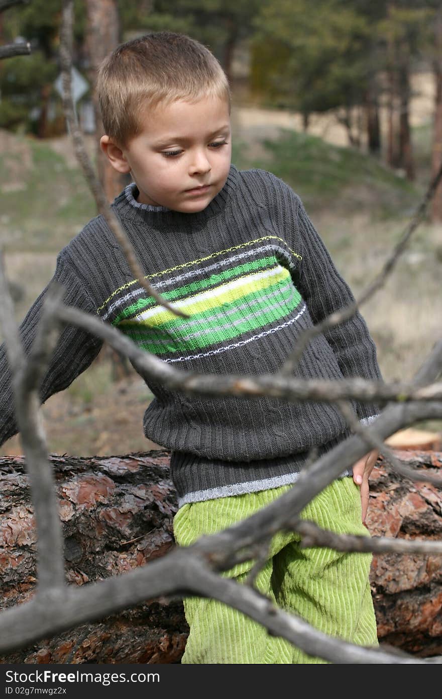 Little boy playing on a tree trunk in the woods. Little boy playing on a tree trunk in the woods