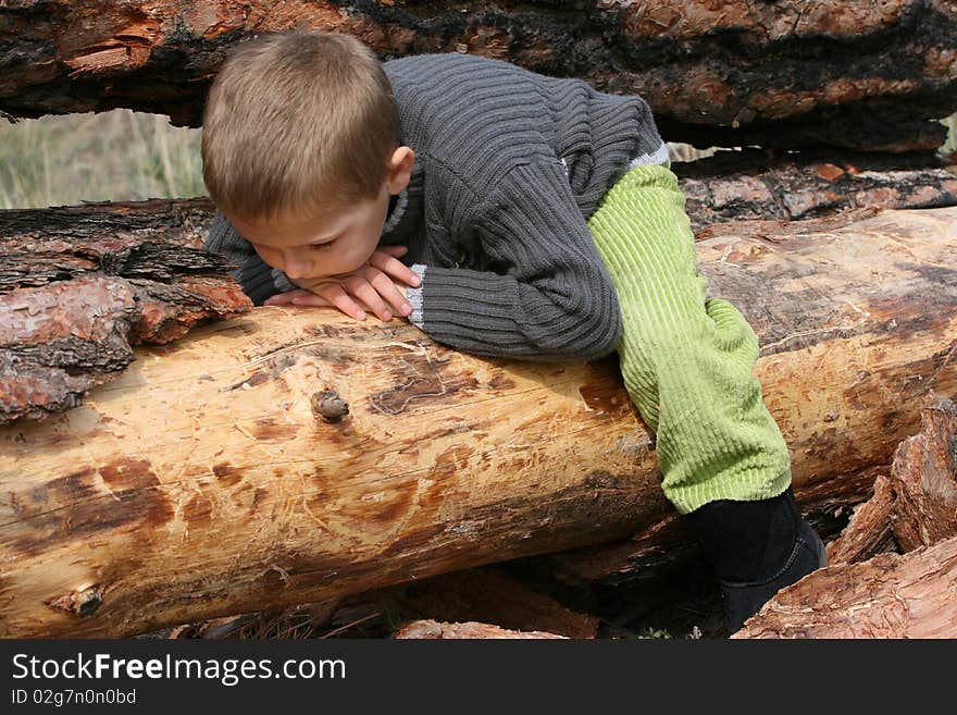 Little boy lying on a tree trunk in the woods. Little boy lying on a tree trunk in the woods