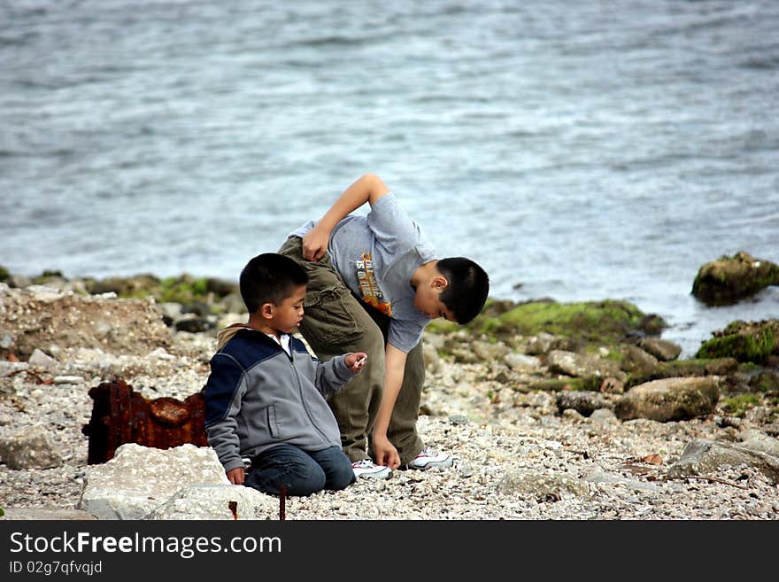 Two boys beach combing hunting for keepsake shells and treasure, enjoying time together on the beach. Two boys beach combing hunting for keepsake shells and treasure, enjoying time together on the beach