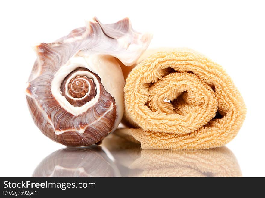 Seashell and bath towels