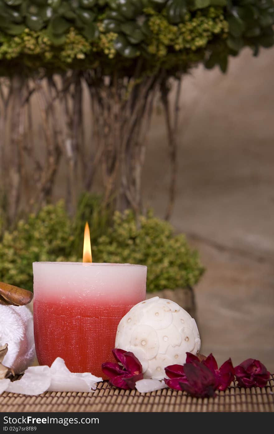 Spa candle in front of a bonsai tree