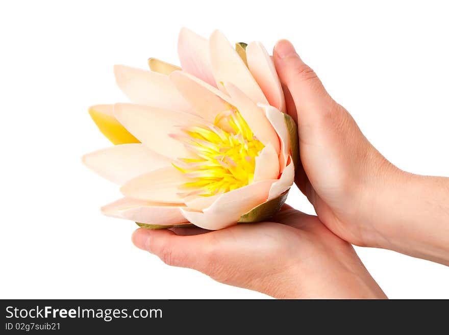 Woman holding waterlily