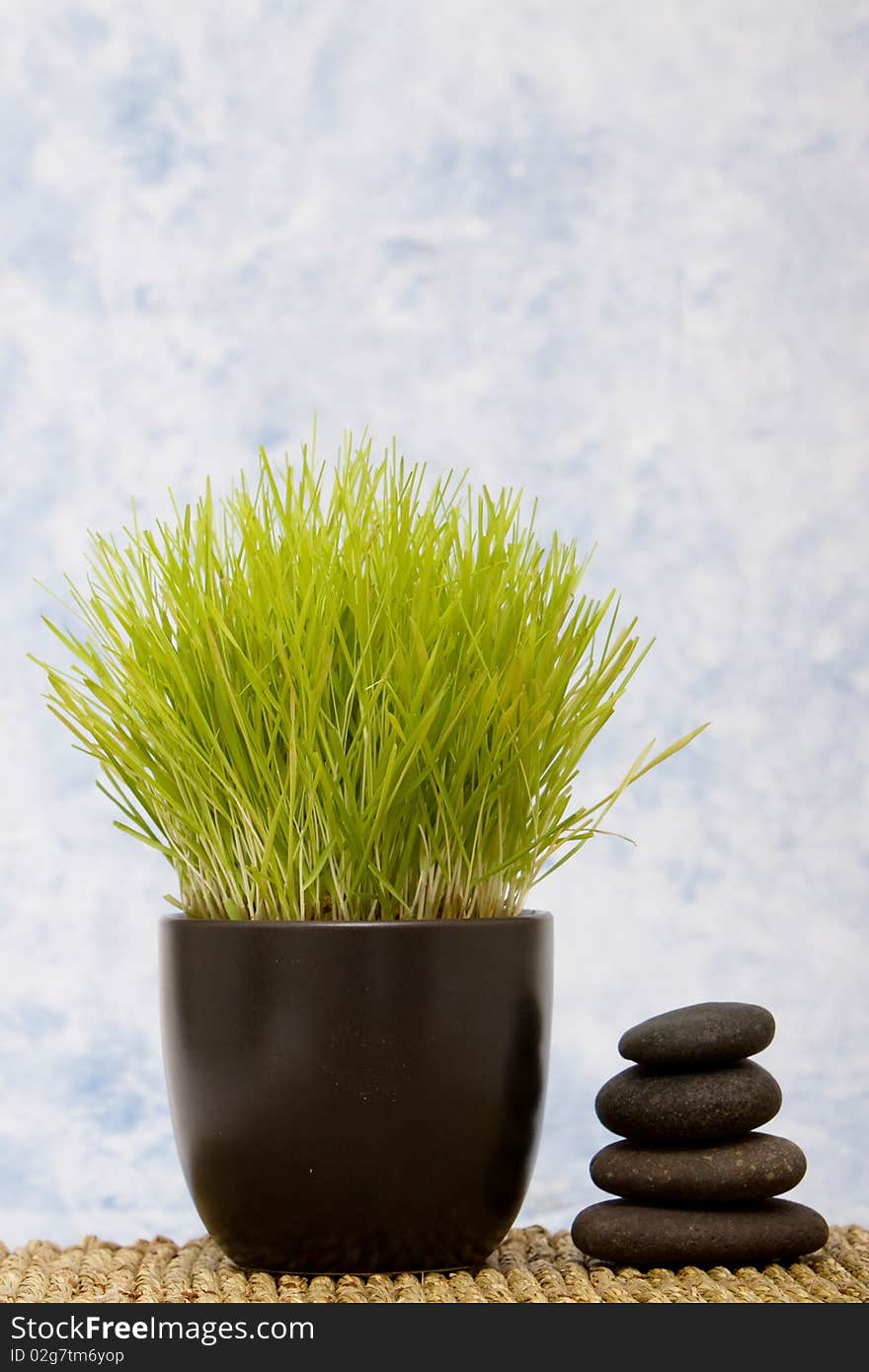 Stack of massage stones with wheatgrass. Stack of massage stones with wheatgrass