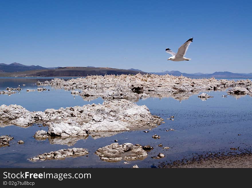 Mono Lake