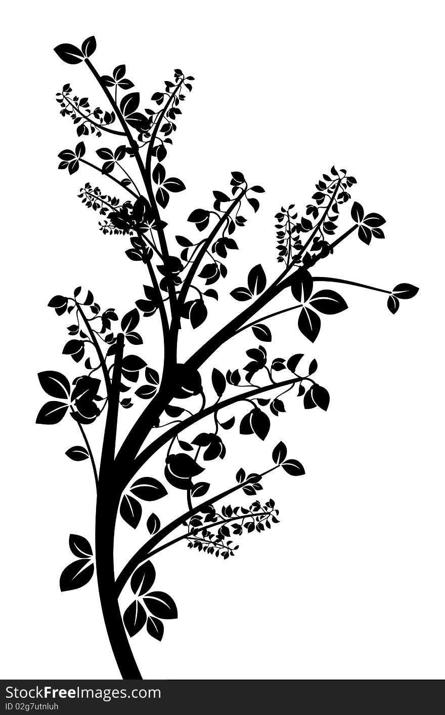 Drawing of plant in a white background