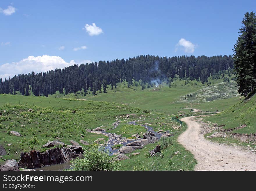 A path going into a forest in Kashmir.