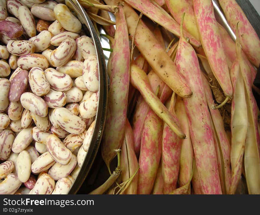 Close up of spotted white kidney beans with the pea pods. Close up of spotted white kidney beans with the pea pods.