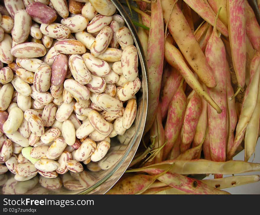 Close up of spotted white kidney beans with the pea pods. Close up of spotted white kidney beans with the pea pods.