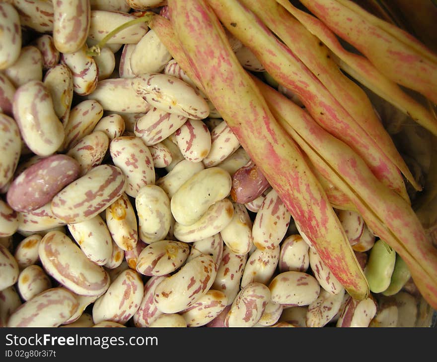 Close up of spotted white kidney beans with the pea pods. Close up of spotted white kidney beans with the pea pods.