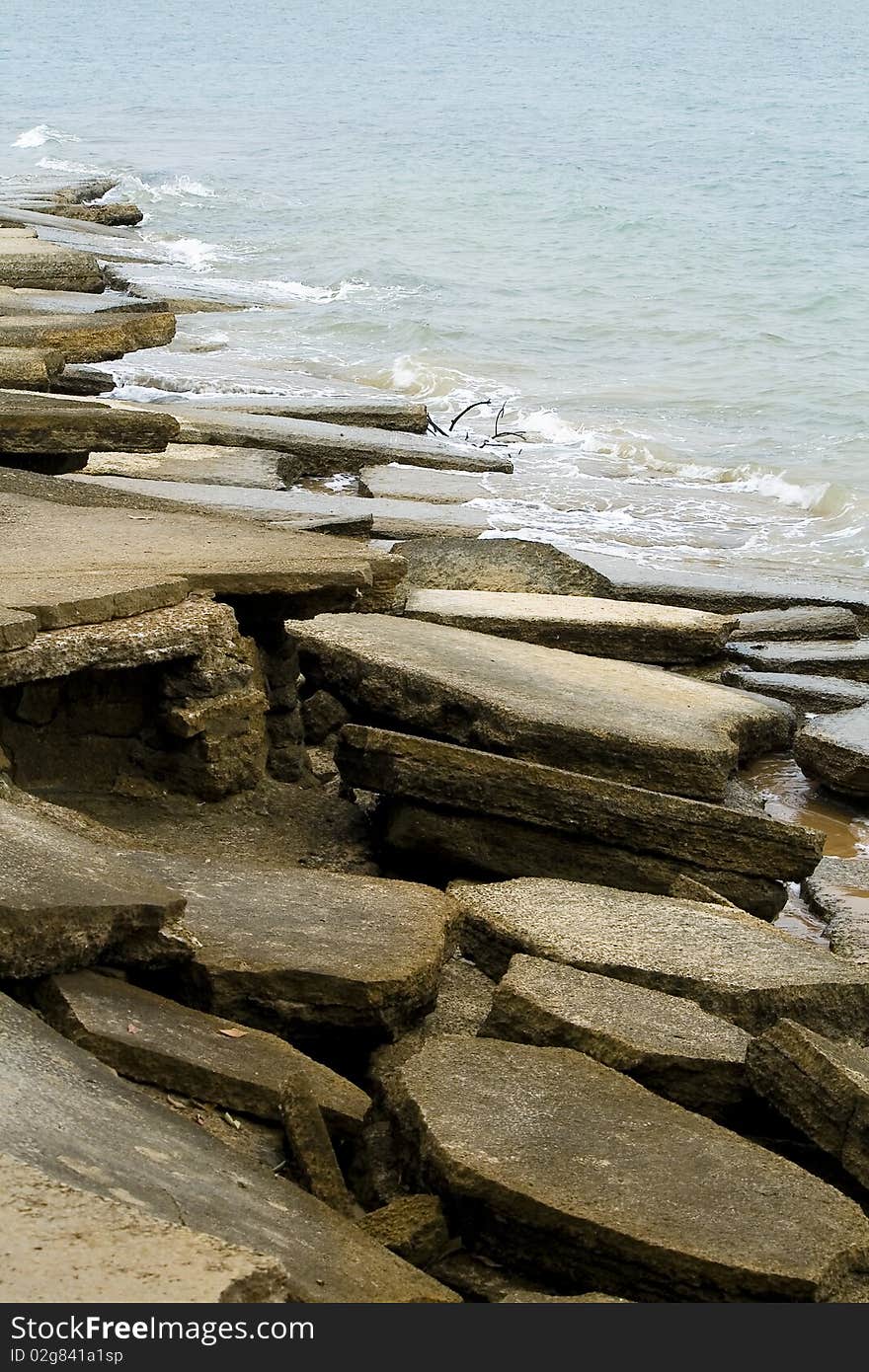 Cracked earth - Gastropod Shell Beach