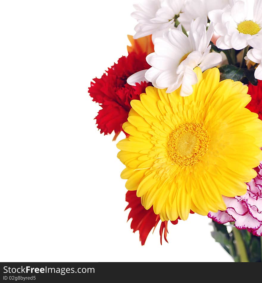 Beautiful spring flowers on white background