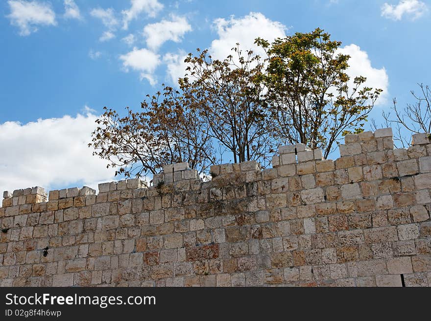 Trees above ancient stone wall