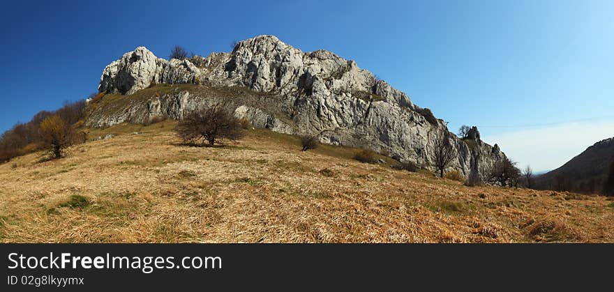 Big Cliff With Meadow