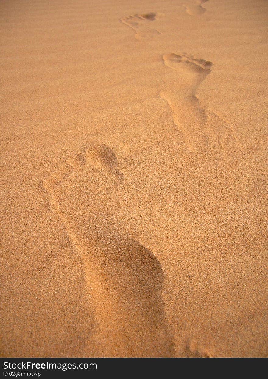 Footprints on the sand in the desert