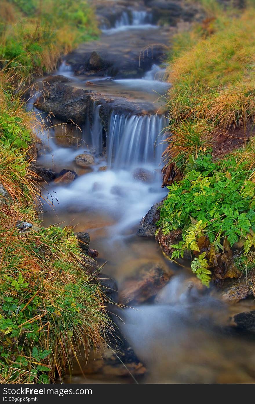 Threshold of the mountain river and wet stones