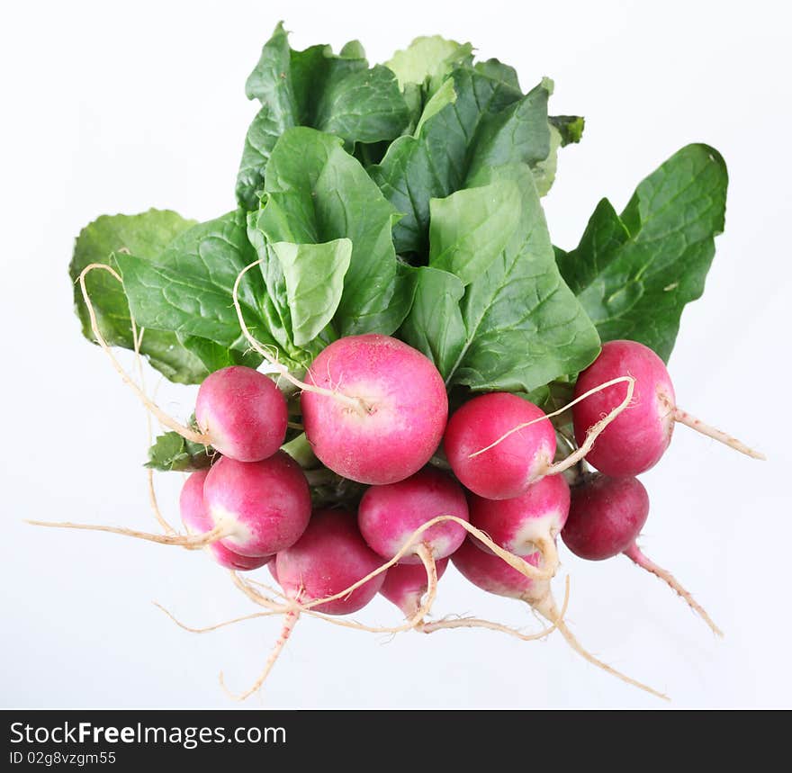 Bunch of radishes